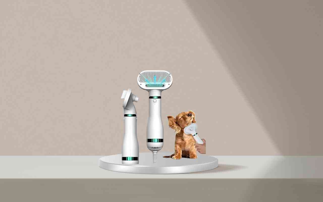 Scopri come addestrare facilmente cani e gatti con Nice Pet: guida pratica all’uso